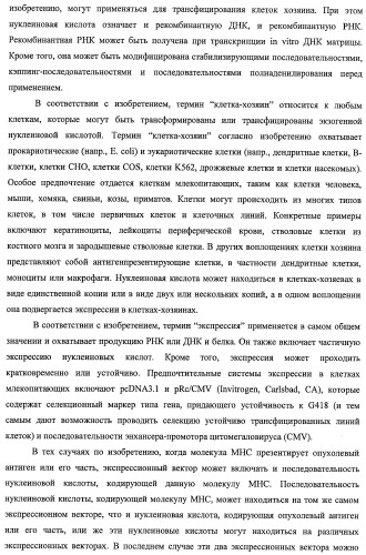 Идентификация опухолевых антигенов для диагностики и терапии (патент 2485974)
