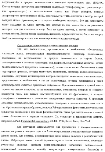Система экспрессии компонентов ортогональной трансляции в эубактериальной клетке-хозяине (патент 2467069)