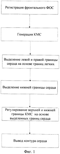 Способ определения контура сердца на флюорографических снимках (патент 2478337)