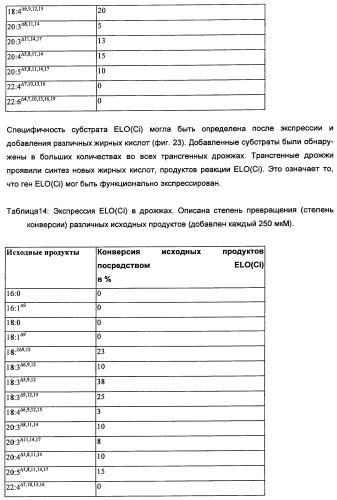 Способ получения полиненасыщенных кислот жирного ряда в трансгенных организмах (патент 2447147)