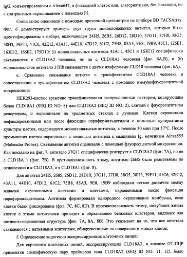 Моноклональные антитела к клаудину-18 для лечения рака (патент 2445319)