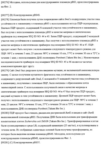 Использование фосфокетолазы для продукции полезных метаболитов (патент 2322496)