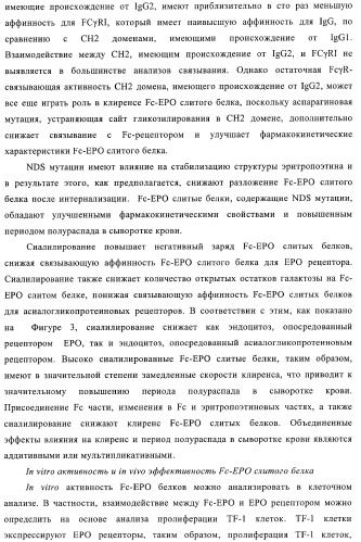 Fc-эритропоэтин слитый белок с улучшенной фармакокинетикой (патент 2370276)