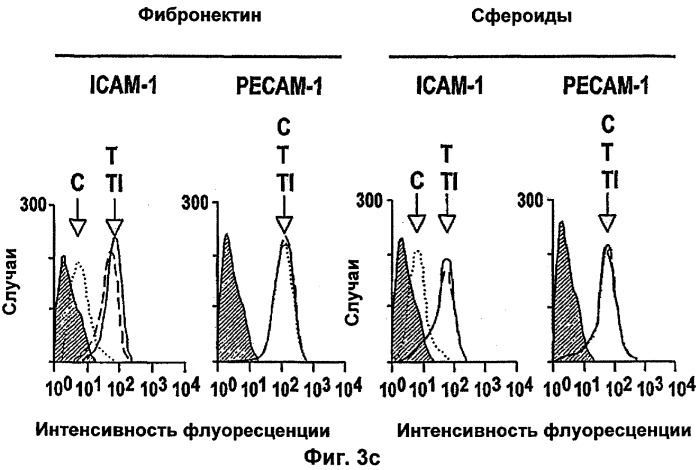 Комбинированная терапия, использующая антиангиогенные средства и tnf-  (патент 2316337)