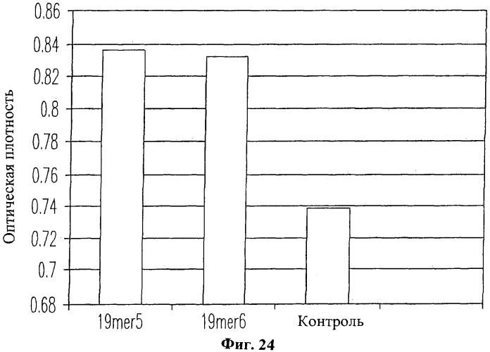 Противовозрастные и ранозаживляющие составы (патент 2318873)