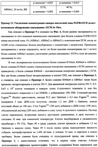 Мутеины кислотной зоны внеклеточного домена рецептора фактора роста фибробластов (патент 2509774)