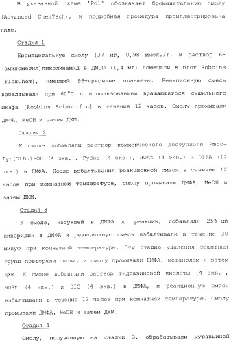 Новые соединения, представляющие собой миметики обратного поворота, и их применение (3) (патент 2470024)