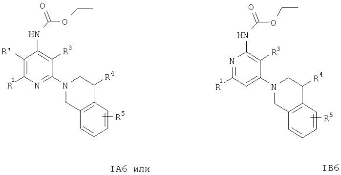 Производные пиридина и лекарственное средство на их основе, обладающее селективной блокирующей активностью в отношении подвида nmda-рецепторов (патент 2303037)