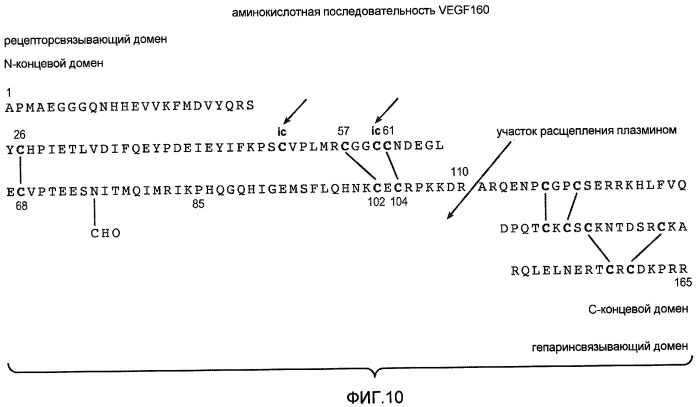 Способ выделения повторно свернутого рекомбинантного белка из культуры прокариотических клеток (варианты) (патент 2439076)