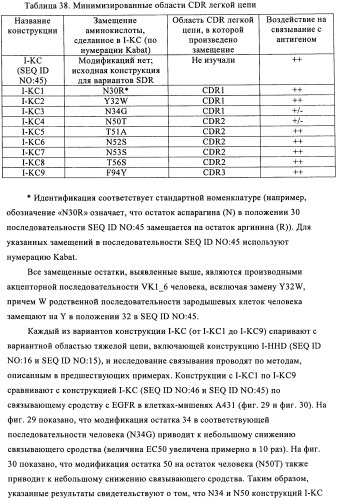 Антигенсвязывающие молекулы, которые связывают рецептор эпидермального фактора роста (egfr), кодирующие их векторы и их применение (патент 2457219)