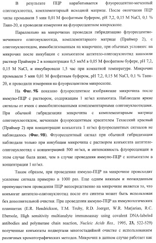 Биологический микрочип для множественного параллельного иммунологического анализа соединений и способы иммуноанализа, в которых он используется (патент 2363955)