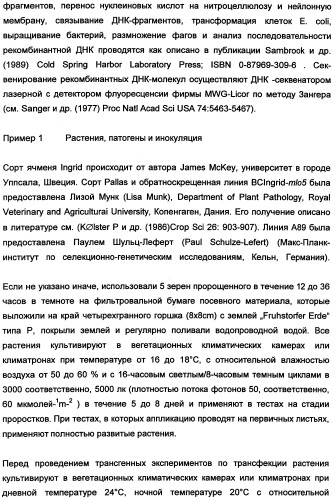 Новые последовательности нуклеиновых кислот и их применение в способах достижения устойчивости к патогенам в растениях (патент 2346985)
