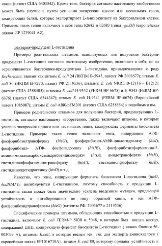 Способ получения l-треонина с использованием бактерии, принадлежащей к роду escherichia, в которой инактивирован оперон ycbponme (оперон ssueadcb) (патент 2392326)