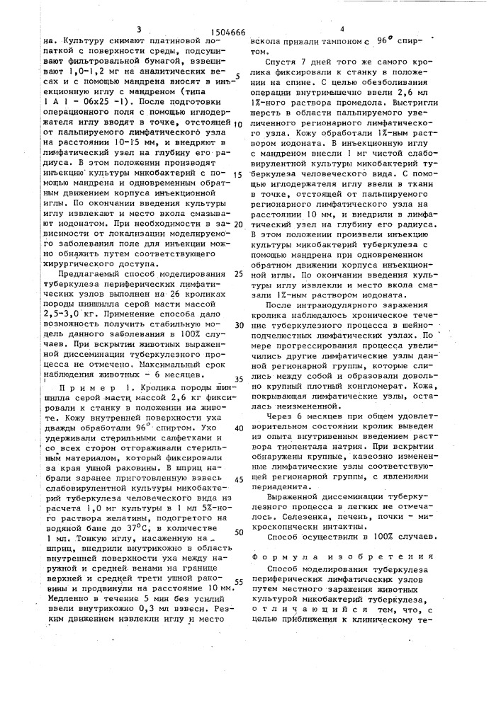 Способ моделирования туберкулеза периферических лимфатических узлов (патент 1504666)