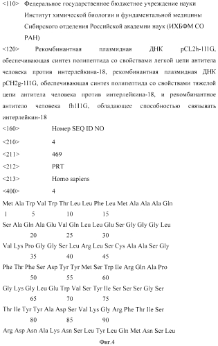 Рекомбинантная плазмидная днк pcl2h-1i1g, обеспечивающая синтез полипептида со свойствами легкой цепи антитела человека против интерлейкина-18, рекомбинантная плазмидная днк pch2g-1i1g, обеспечивающая синтез полипептида со свойствами тяжелой цепи антитела человека против интерлейкина-18, и рекомбинантное антитело человека fh1i1g, обладающее способностью связывать интерлейкин-18 (патент 2562857)