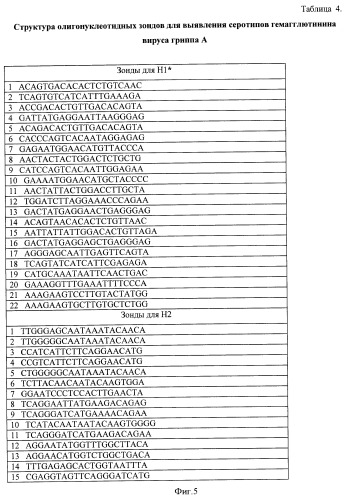 Способ выбора днк-зондов для микрочиповой диагностики, биочип и способ типирования гена нейраминидазы и гемагглютинина вируса гриппа а (патент 2470076)