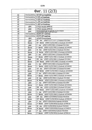 Способ получения рекомбинантного вирусного вектора apmv-8 (патент 2592544)