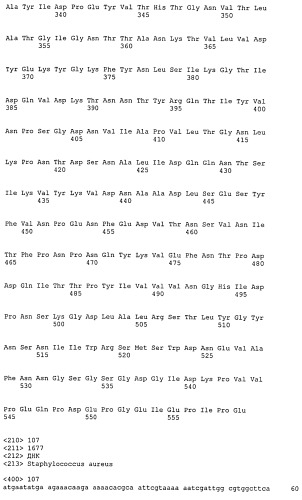 Иммуногенные композиции антигенов staphylococcus aureus (патент 2536981)