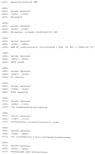 Вектор экспрессии млекопитающих (патент 2494147)