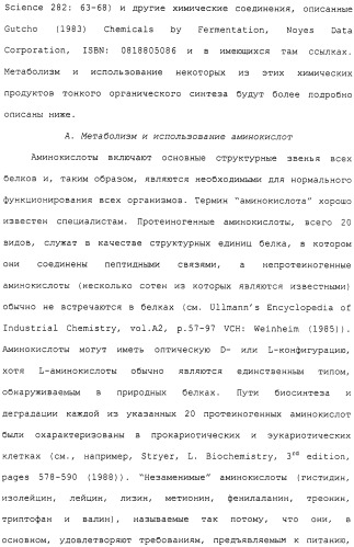 Гены corynebacterium glutamicum, кодирующие белки метаболических путей (патент 2306339)