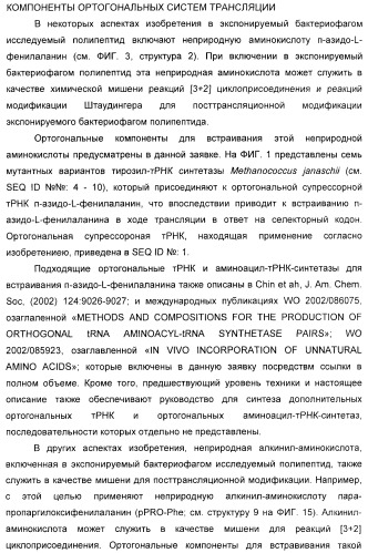 Селективная посттрансляционная модификация экспонируемых фагами полипептидов (патент 2459866)