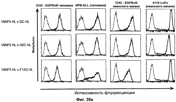 Cd3-эпсилон-связывающий домен с межвидовой специфичностью (патент 2561457)