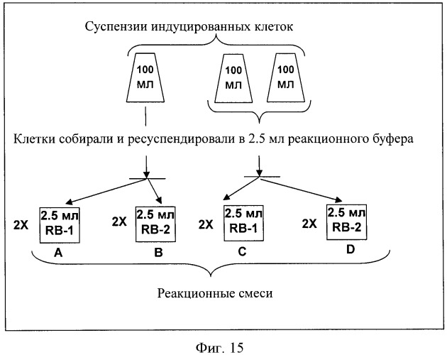 Способ получения гидроксилированной аминокислоты (варианты) и микроорганизм, трансформированный днк, кодирующей диоксигеназу (патент 2460779)