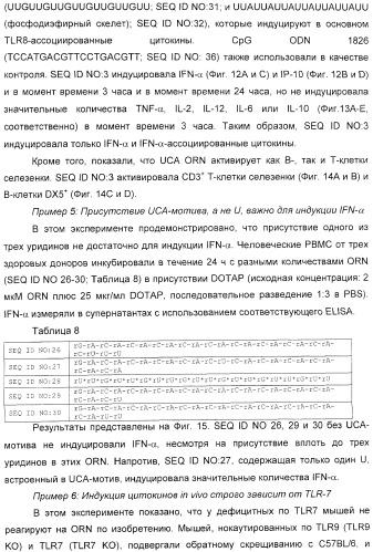 Мотивы последовательности рнк в контексте определенных межнуклеотидных связей, индуцирующие специфические иммуномодулирующие профили (патент 2435851)