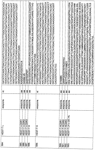 Pscaxcd3, cd19xcd3, c-metxcd3, эндосиалинxcd3, epcamxcd3, igf-1rxcd3 или fap-альфаxcd3 биспецифическое одноцепочечное антитело с межвидовой специфичностью (патент 2547600)