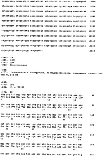 Экспрессия множества генов, включая sorf-конструкции, и способы экспрессирования иммуноглобулина (патент 2478709)