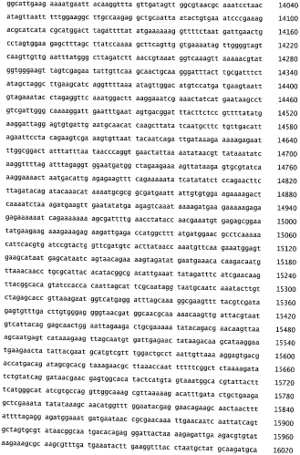 Бактериофаг, обладающий активностью против pseudomonas aeruginosa, белки бактериофага и способы их применения (патент 2580248)