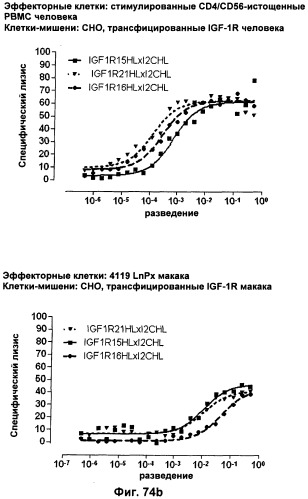 Pscaxcd3, cd19xcd3, c-metxcd3, эндосиалинxcd3, epcamxcd3, igf-1rxcd3 или fap-альфаxcd3 биспецифическое одноцепочечное антитело с межвидовой специфичностью (патент 2547600)