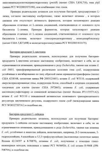 Способ получения l-треонина с использованием бактерии, принадлежащей к роду escherichia, в которой инактивирован ген ygid (патент 2396349)