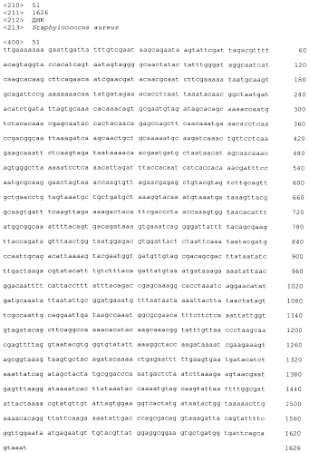 Стабильные иммуногенные композиции антигенов staphylococcus aureus (патент 2570730)