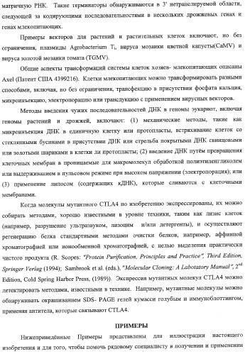 Способ лечения сердечно-сосудистого заболевания с применением растворимого ctla4 (патент 2353384)
