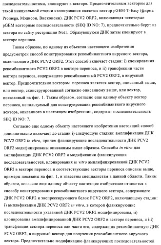 Поливалентные иммуногенные композиции pcv2 и способы получения таких композиций (патент 2488407)