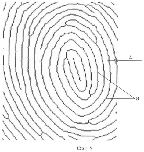 Способ формирования и верификации биометрического кода отпечатка пальца (патент 2413297)