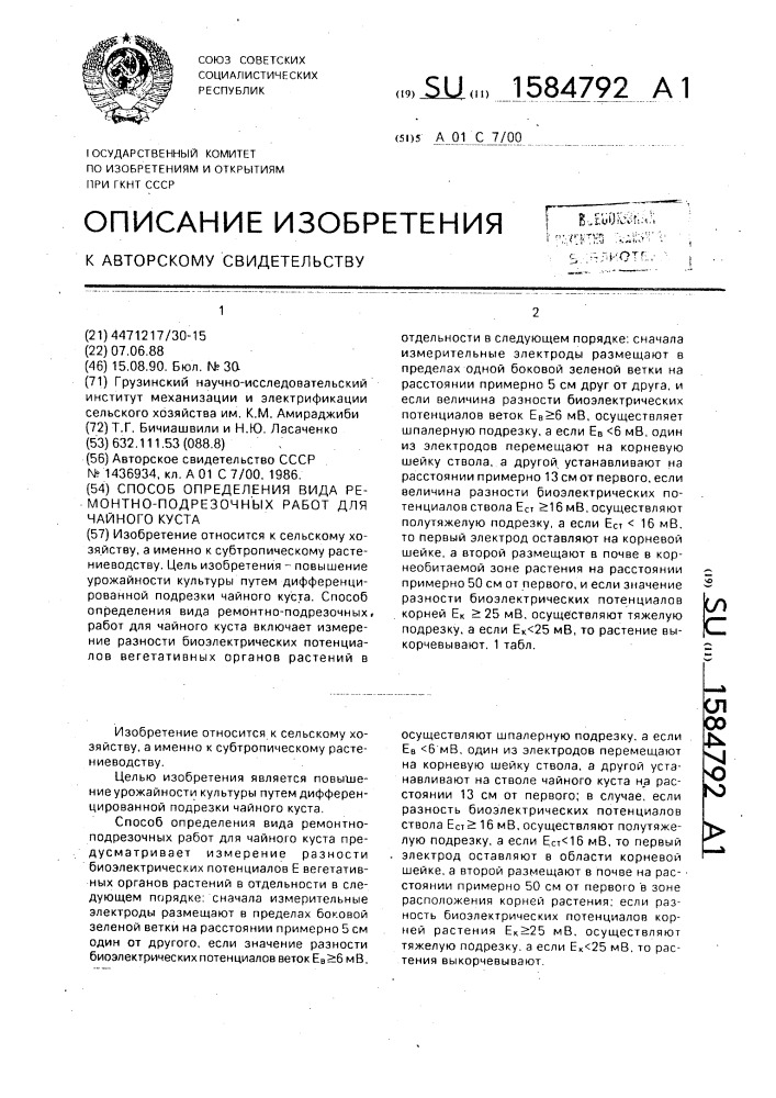 Способ определения вида ремонтно-подрезочных работ для чайного куста (патент 1584792)