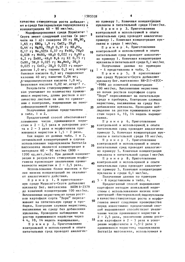 Способ выращивания картофеля (патент 1585328)