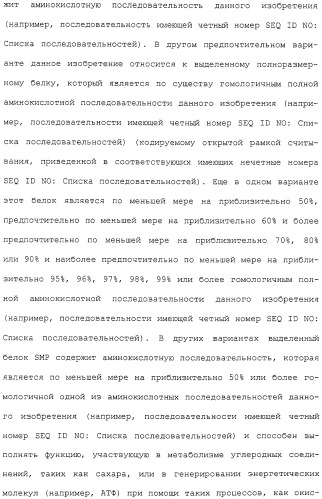 Гены corynebacterium glutamicum, кодирующие белки, участвующие в метаболизме углерода и продуцировании энергии (патент 2310686)