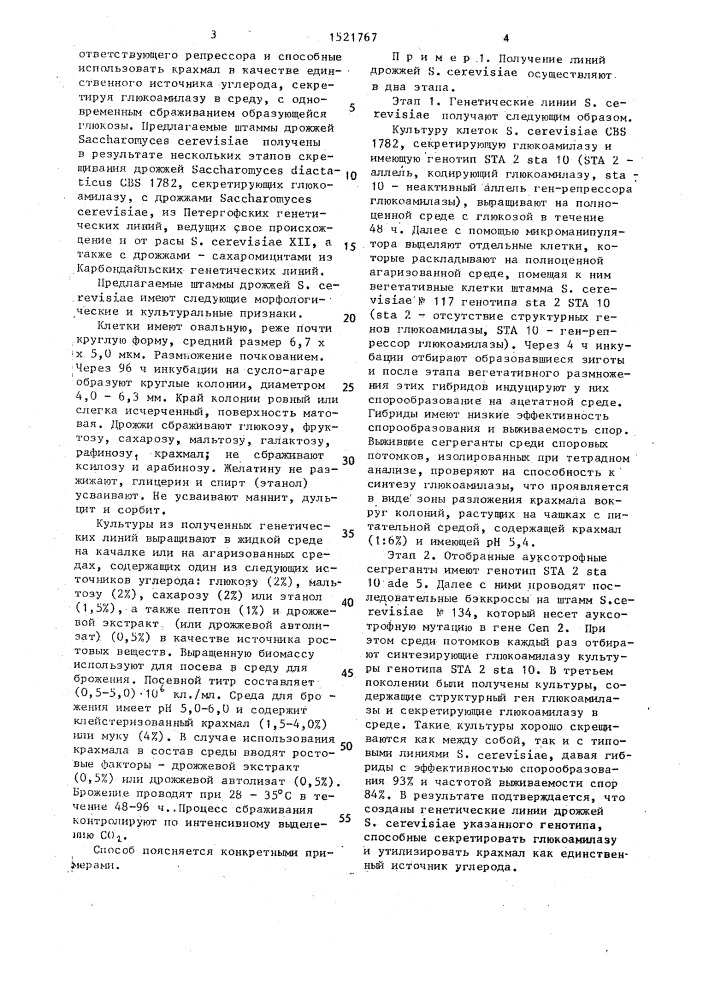Способ получения гибридных штаммов дрожжей sасенаgомyсеs cerevisiae для сбраживания крахмала (патент 1521767)