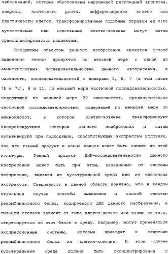 Ее3-семейство белков и соответствующие днк-последовательности (патент 2333918)