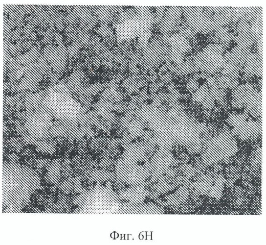 Композиции для ухода за полостью рта, содержащие аморфный кварц (патент 2486890)