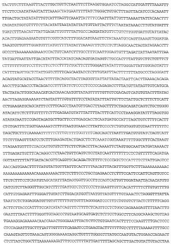 Применение s1p (патент 2362565)