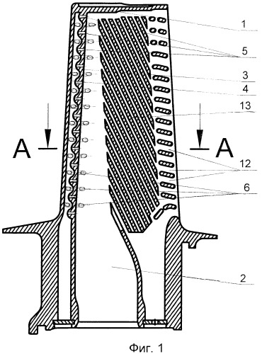 Охлаждаемая лопатка турбомашины (патент 2362020)