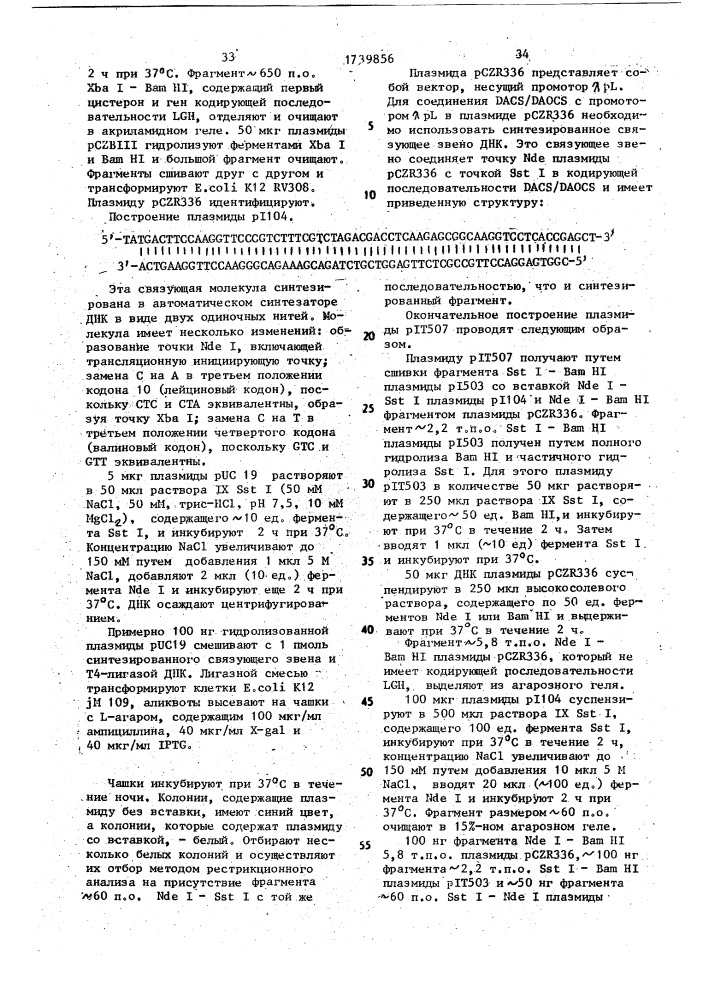 Способ конструирования рекомбинантной плазмидной днк, кодирующей фермент деацетоксицефалоспорин с синтетазу/деацетилцефалоспорин с синтетазу (патент 1739856)