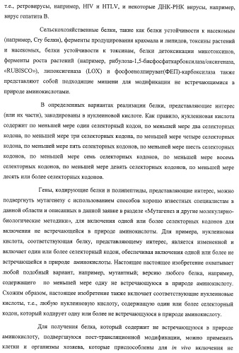 Система экспрессии компонентов ортогональной трансляции в эубактериальной клетке-хозяине (патент 2467069)