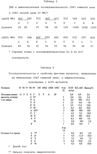 Scfv против egfrviii с улучшенной цитотоксичностью и выходом, иммунотоксины на их основе и способы их применения (патент 2317999)