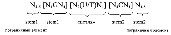 Нуклеиновая кислота, содержащая или кодирующая гистоновую структуру типа "стебель-петля" и поли(а)-последовательность или сигнал полиаденилирования, для повышения экспрессии кодируемого белка (патент 2583295)