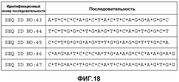 Лечение сиртуин 1 (sirt1)-связанных заболеваний путем ингибирования натурального антисмыслового транскрипта (патент 2551234)